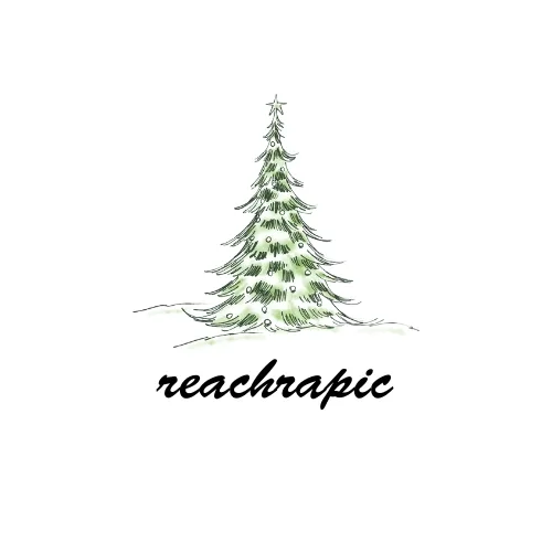 reachrapic